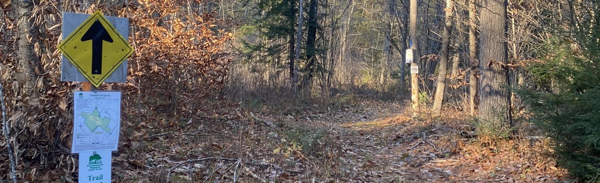 Blue Trail Loop, Maine 43 Reviews, Map AllTrails