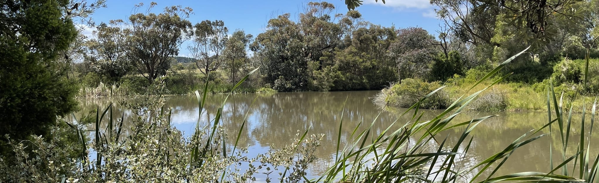 Corinella to Bay Coastal Walk, Victoria, Australia 53 Reviews