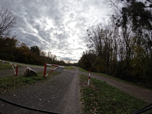 Altrhein-Hardtwald Radtour