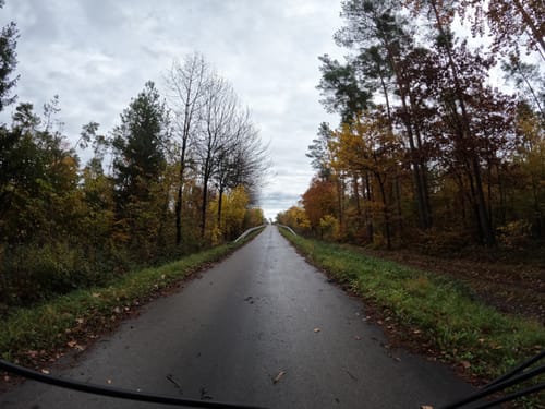 Altrhein-Hardtwald Radtour