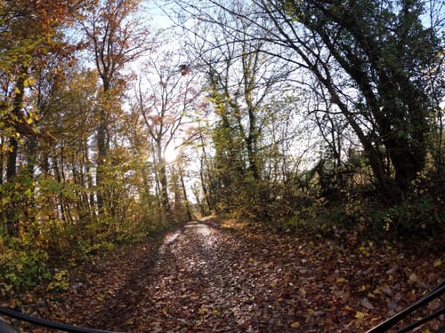 Karlsruhe: Pfinztal Radtour