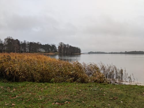 66-Seen-Rundweg Etappe 11: Bad Saarow - Wendisch Rietz