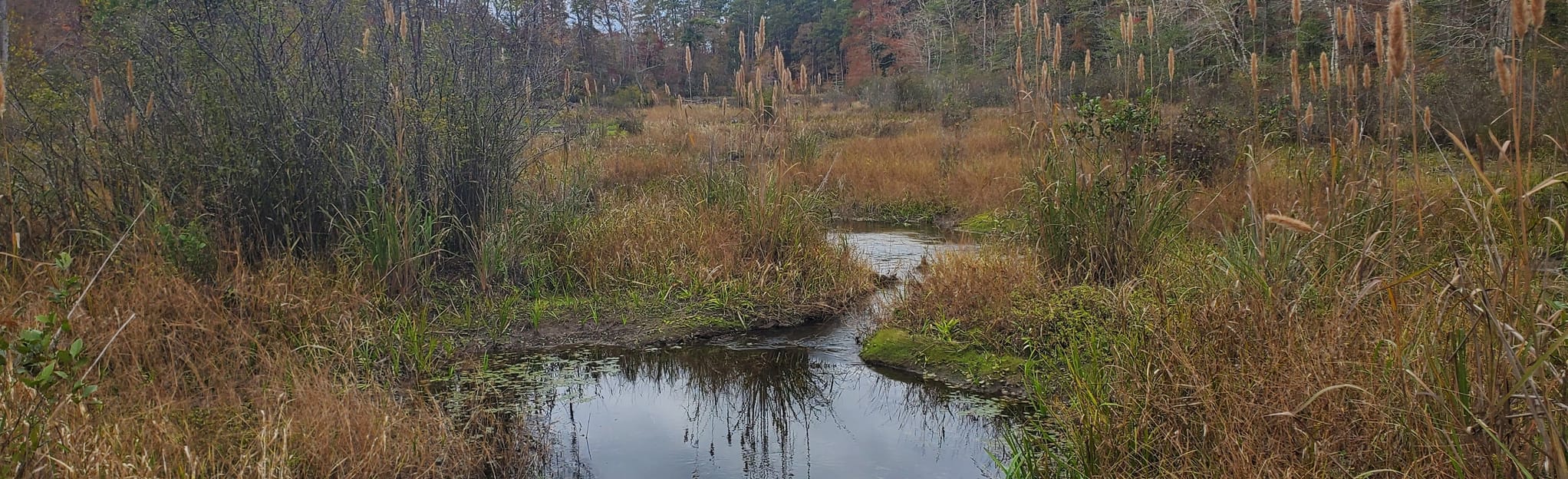 Kincaid Reservoir Shoreline Trail, Louisiana 90 Reviews, Map AllTrails