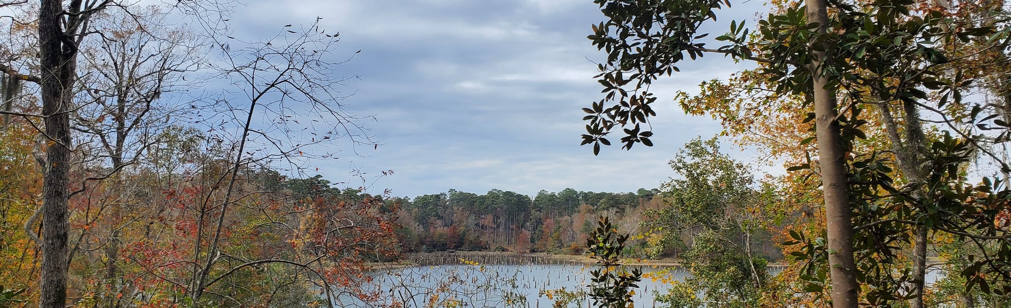 Kincaid Reservoir Shoreline Trail Louisiana AllTrails