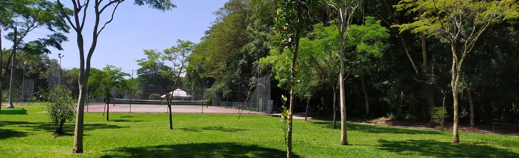 Parque Villa Lobos: 5 Reviews, Map - São Paulo, Brazil | AllTrails