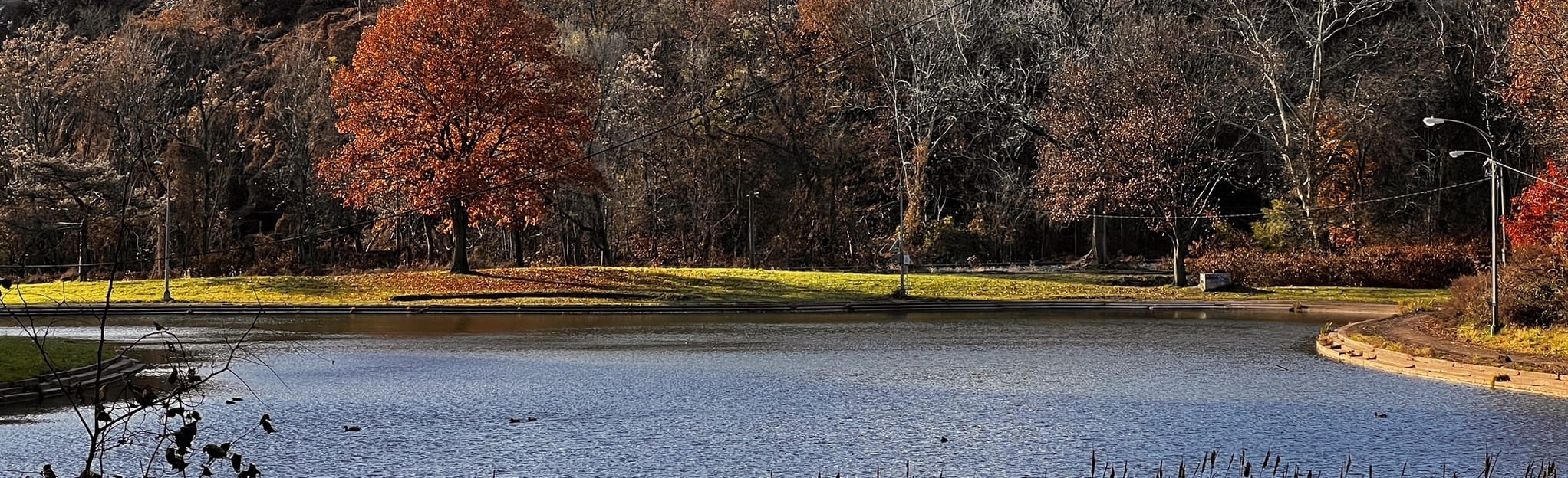 Schenley Park Double Loop, Pennsylvania 705 Reviews, Map AllTrails