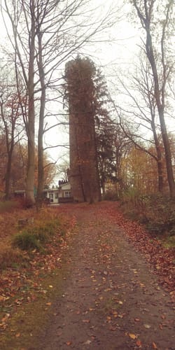 Wandern im Harrl H 1