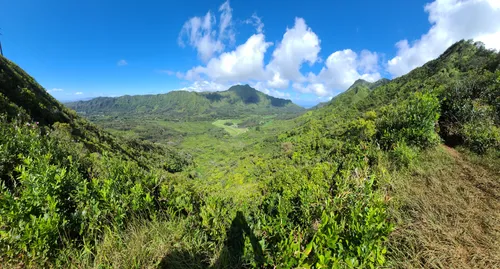 Hawaiʻi Birding Trails