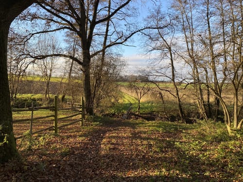 Rund um Karsbach zur Burgruine Homburg