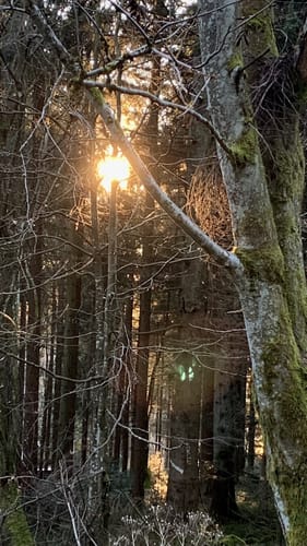 Skilanglauf: Ruselabsatz - Landshuterhaus