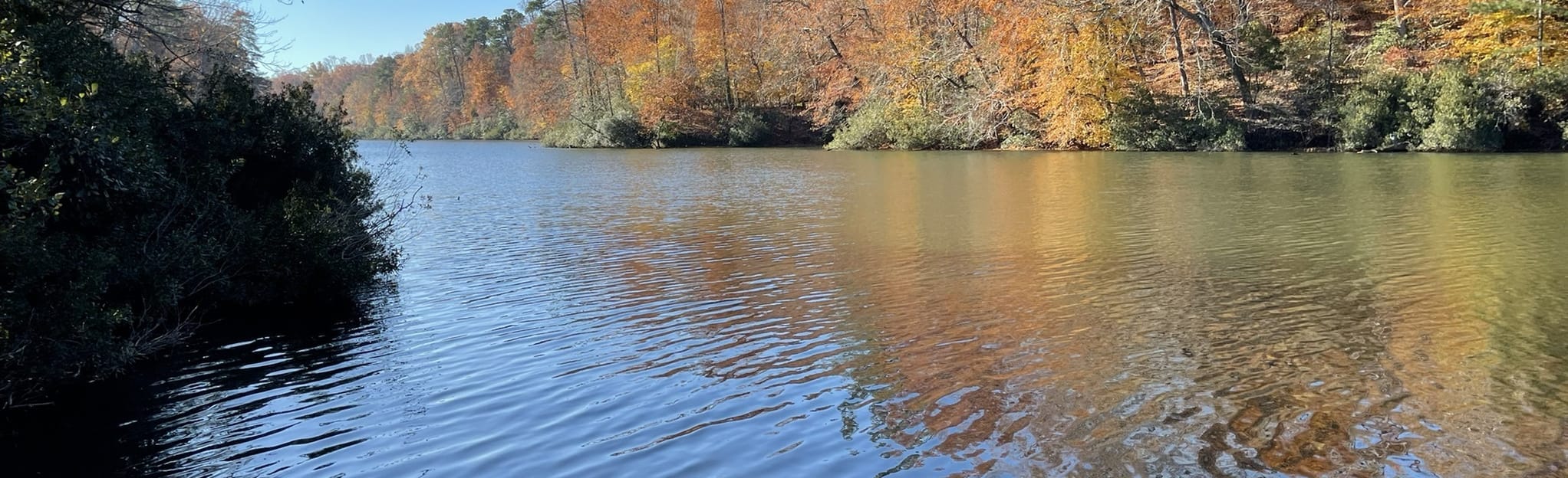 Lake Matoaka Trail Virginia AllTrails