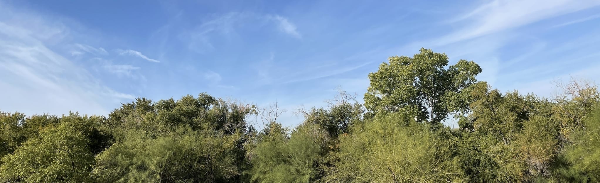 AllTrails Glendale Canal 368 Reviews, Map Arizona