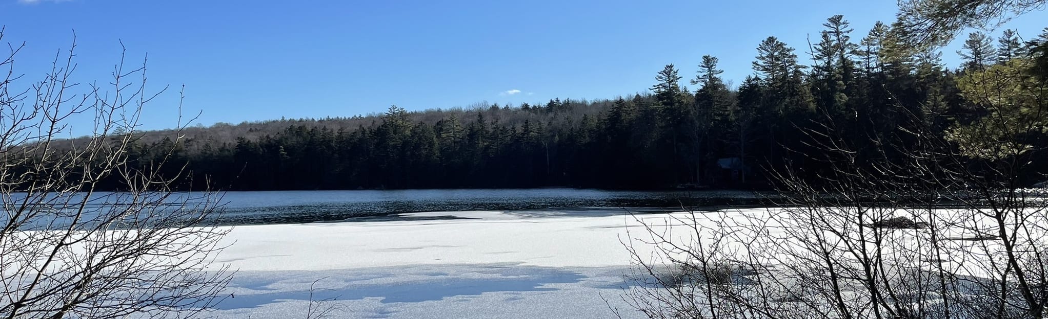 Kettle Pond Trail 153 Reviews, Map Vermont AllTrails