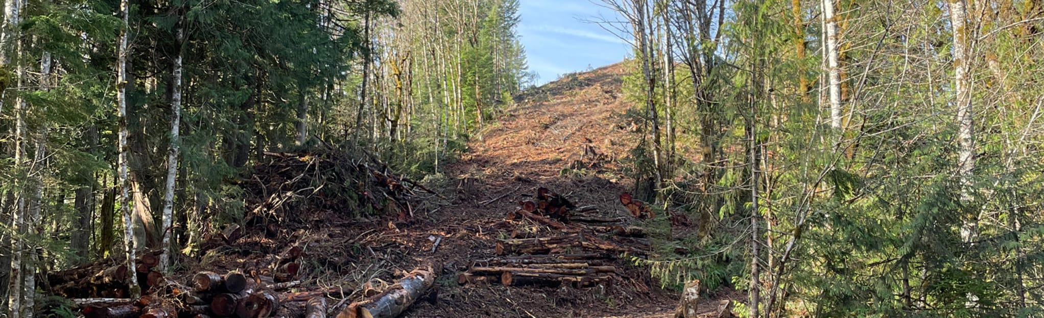 Bonanza Trail Oregon AllTrails