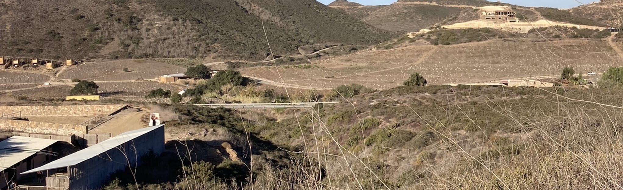 Vale De Guadalupe Baja California Weather Conditions And Forecasts