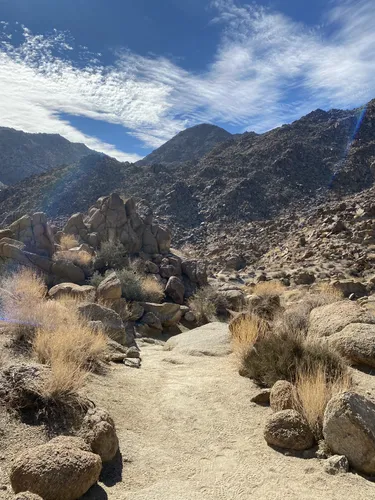 Joshua tree day outlet hikes