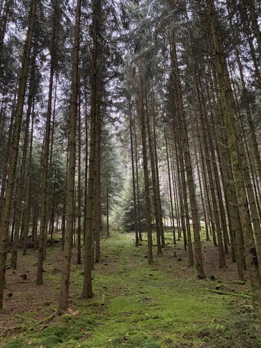 Rundweg Bayerische Schanz