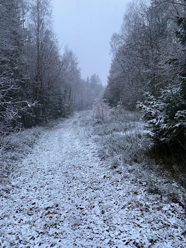 Rundweg Bayerische Schanz