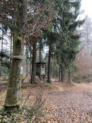 Rundweg Bayerische Schanz
