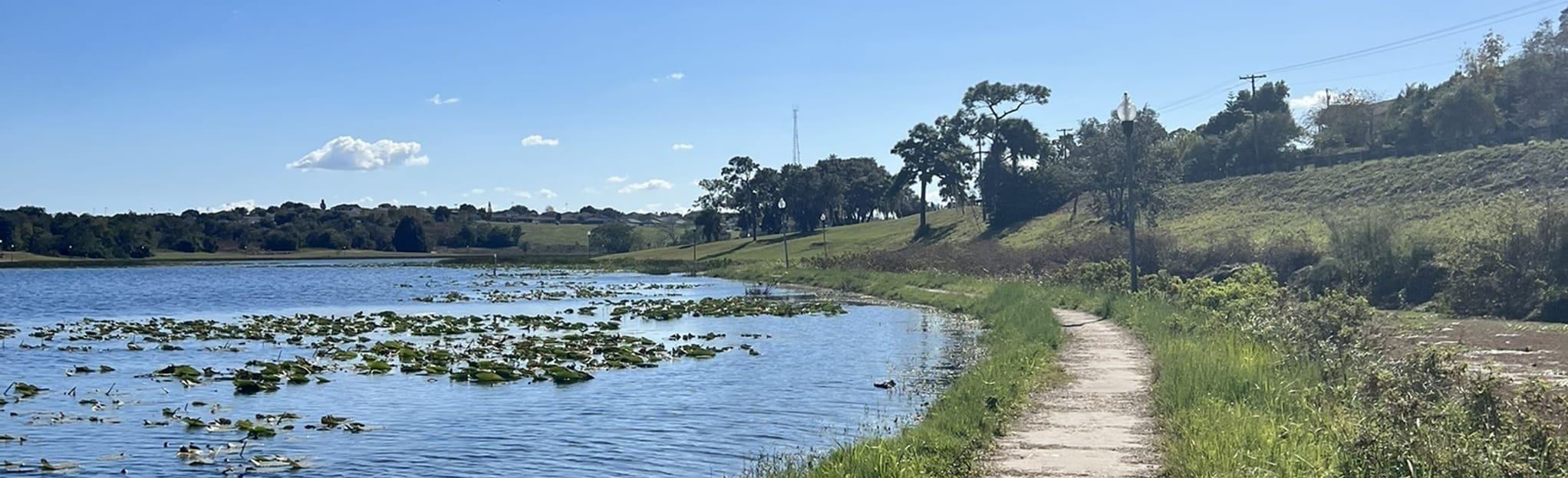 Lake Marie Bike Path Florida - EyJidWNrZXQiOiJhc3NldHMuYWxsdHJhaWxzLmNvbSIsImtleSI6InVwbG9hZHMvcGhvdG8vaW1hZ2UvNDI3NzQ5NzMvYzViNzBhZDc1MmQwNTA3OGQ2NWQ0ZGI4ZGQ5ZTMzNWYuanBnIiwiZWRpdHMiOnsidG9Gb3JtYXQiOiJqcGVnIiwicmVzaXplIjp7IndpZHRoIjoyMDQ0LCJoZWlnaHQiOjYyNCwiZml0IjoiY292ZXIifSwicm90YXRlIjpudWxsLCJqcGVnIjp7InRyZWxsaXNRdWFudGlzYXRpb24iOnRydWUsIm92ZXJzaG9vdERlcmluZ2luZyI6dHJ1ZSwib3B0aW1pc2VTY2FucyI6dHJ1ZSwicXVhbnRpc2F0aW9uVGFibGUiOjN9fX0=