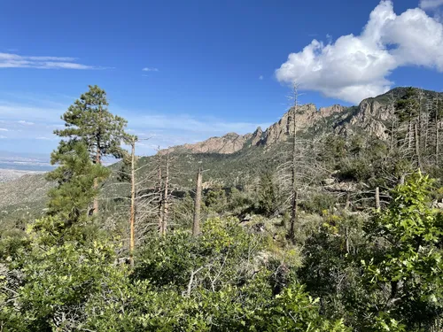 10 Best Hikes and Trails in Elena Gallegos Picnic Area/Albert G. Simms ...