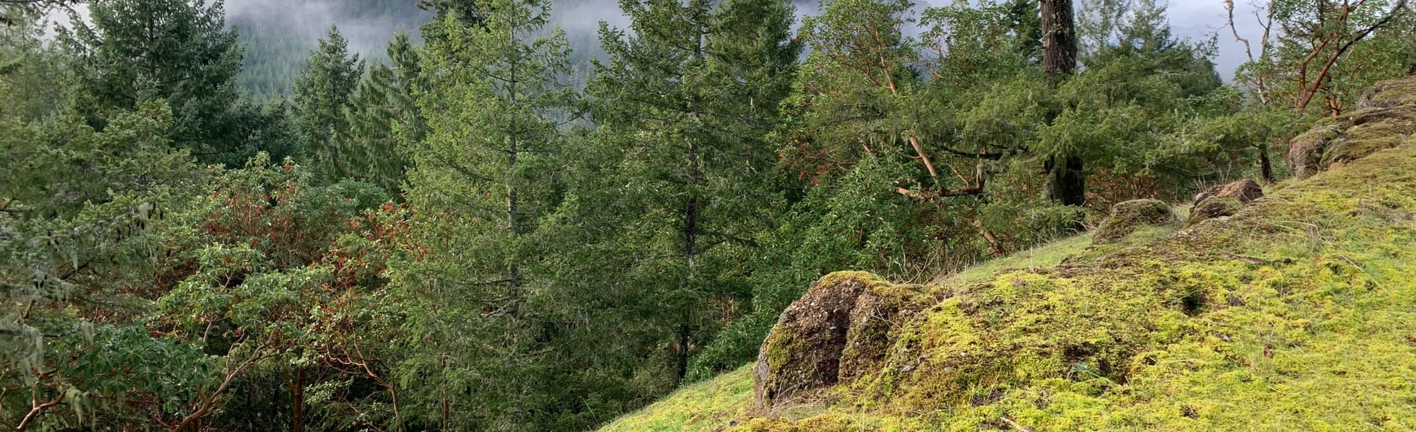 Camas Ridge, British Columbia, Canada 85 Reviews, Map AllTrails