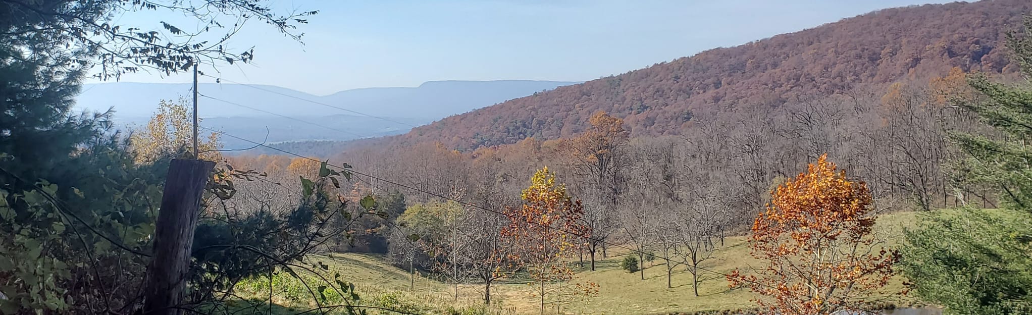 Rocky Branch Trail 68 Reviews, Map Virginia AllTrails