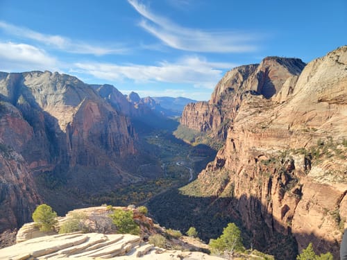 are dogs allowed in angels park zion national park