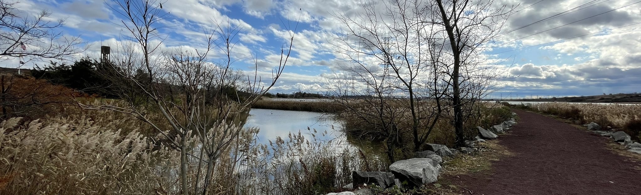 Transco to Sawmill Creek Trail 493 Reviews, Map New Jersey AllTrails