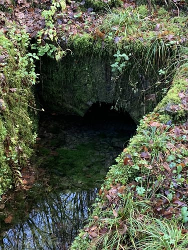 Um die Wiehler Tropfsteinhöhle und den Wildpark