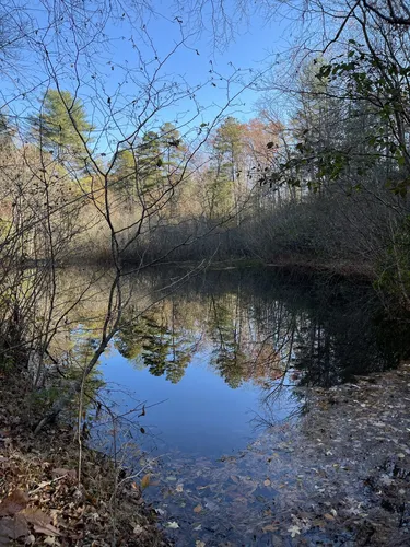 Devils fork state park clearance hiking