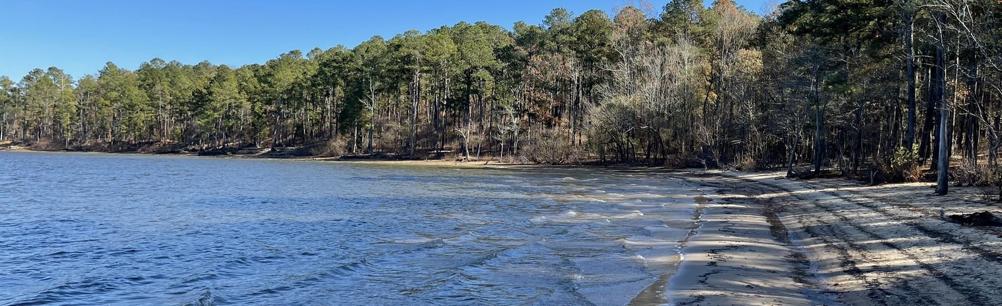 Jordan Lake Audubon Wildlife Platform Trail, North Carolina 17
