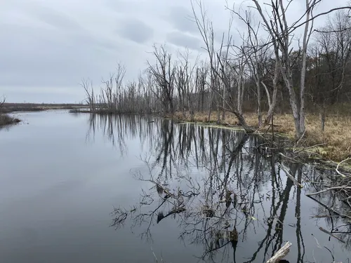 Best Hikes and Trails in Fox Island Park | AllTrails