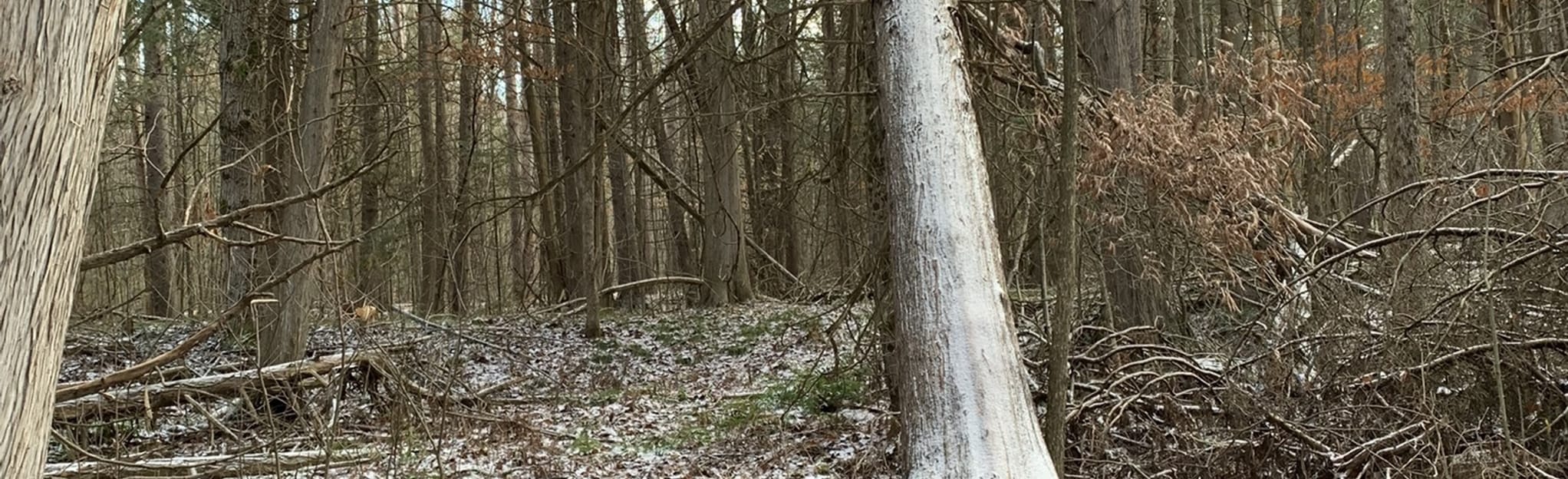 Kemptville MultiUse Pathway 8 Fotos Ontario, Kanada AllTrails