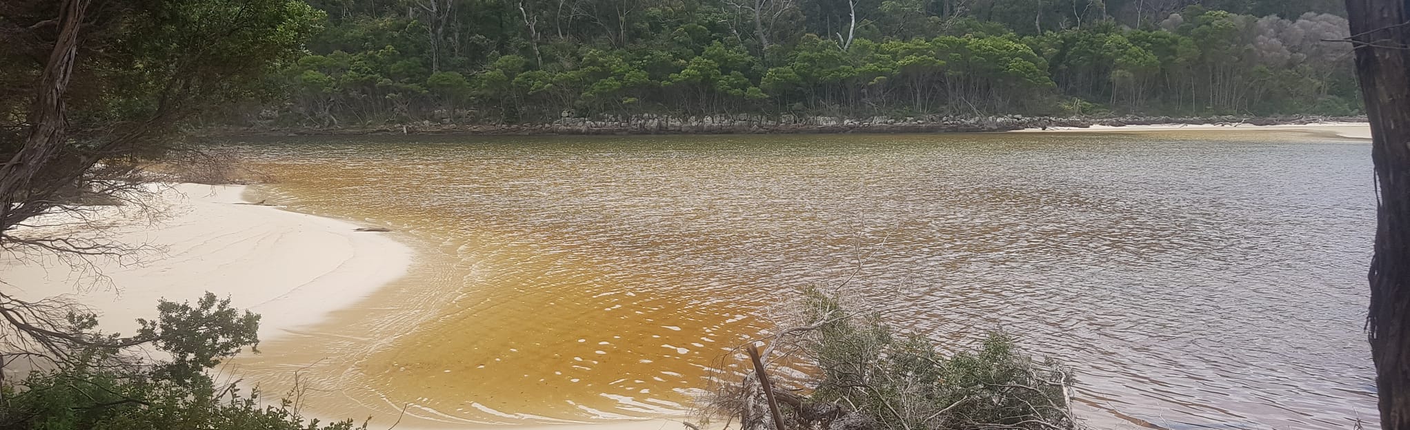 Merrica River Nature Trail, New South Wales, Australia - 13 Reviews ...