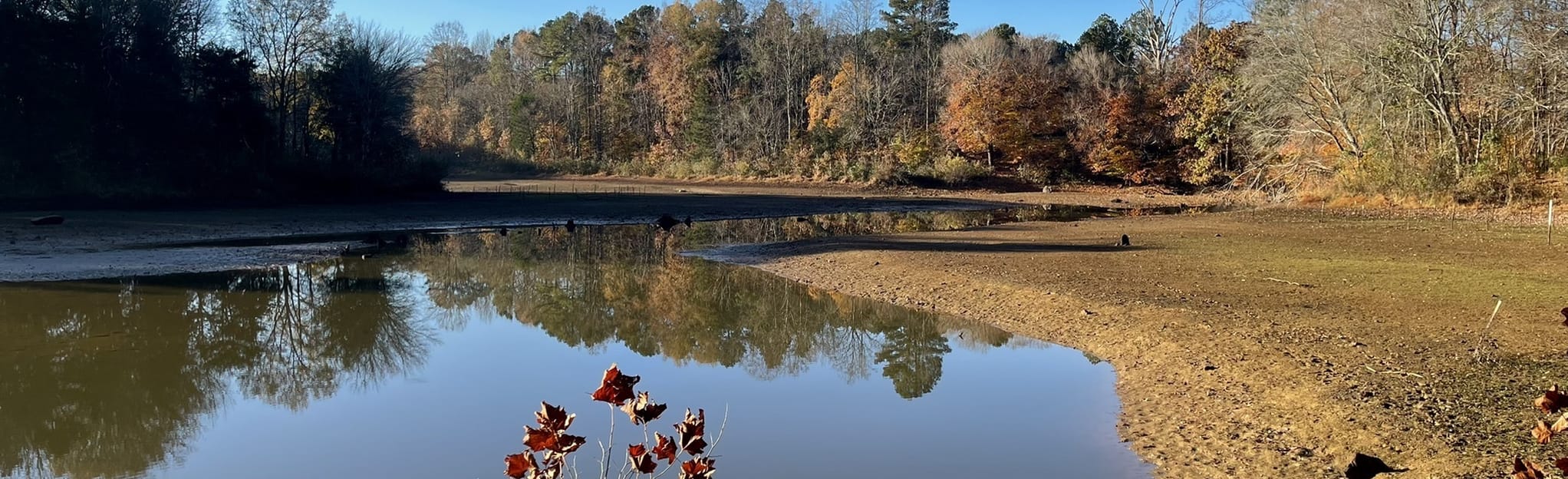 Pittsboro Lake Park Trail, North Carolina 20 Reviews, Map AllTrails