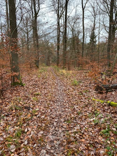 Katzenbach Stausee - Weißer Steinbruch - Burgruine Blankenburg
