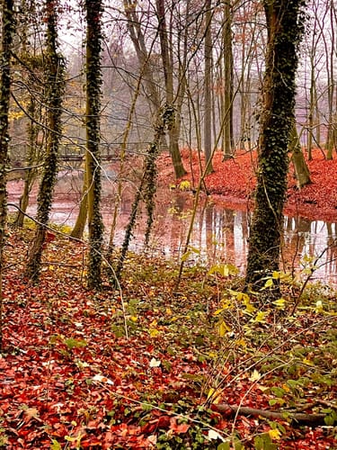 Rundweg Bagnosee/Steinfurt