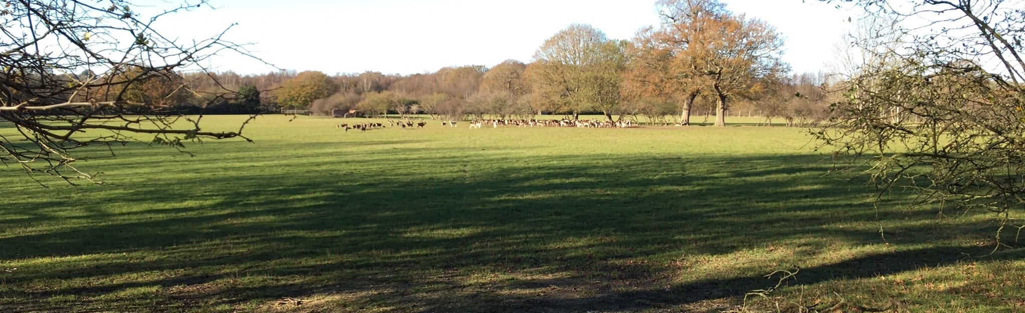 Blackstone Circular 7 Reviews, Map West Sussex, England AllTrails