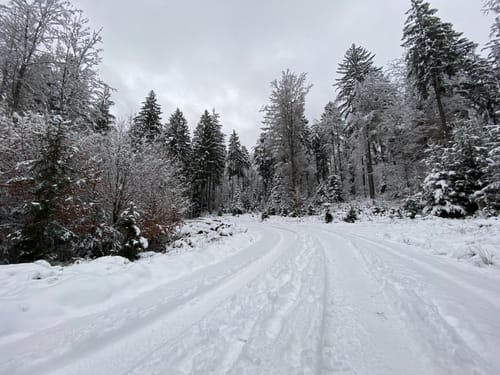 Lautenbacher Felsenweg