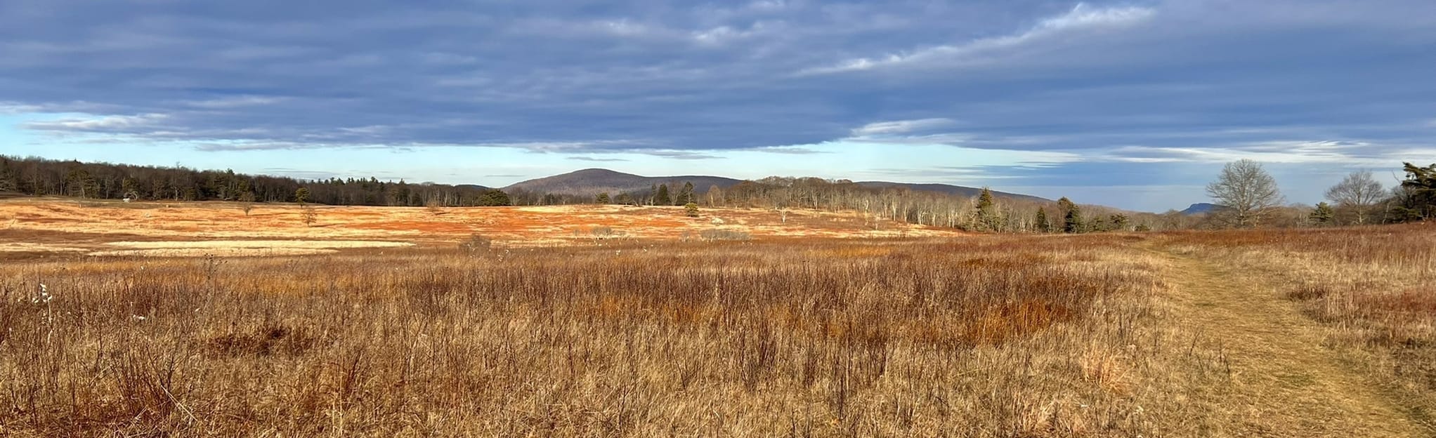 Big Meadows Loop, Virginia - 147 Reviews, Map | AllTrails