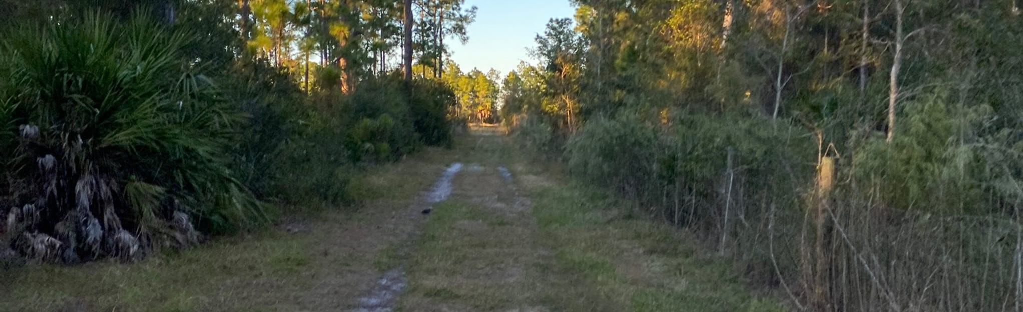 buckingham-preserve-equestrian-trail-43-reviews-map-florida