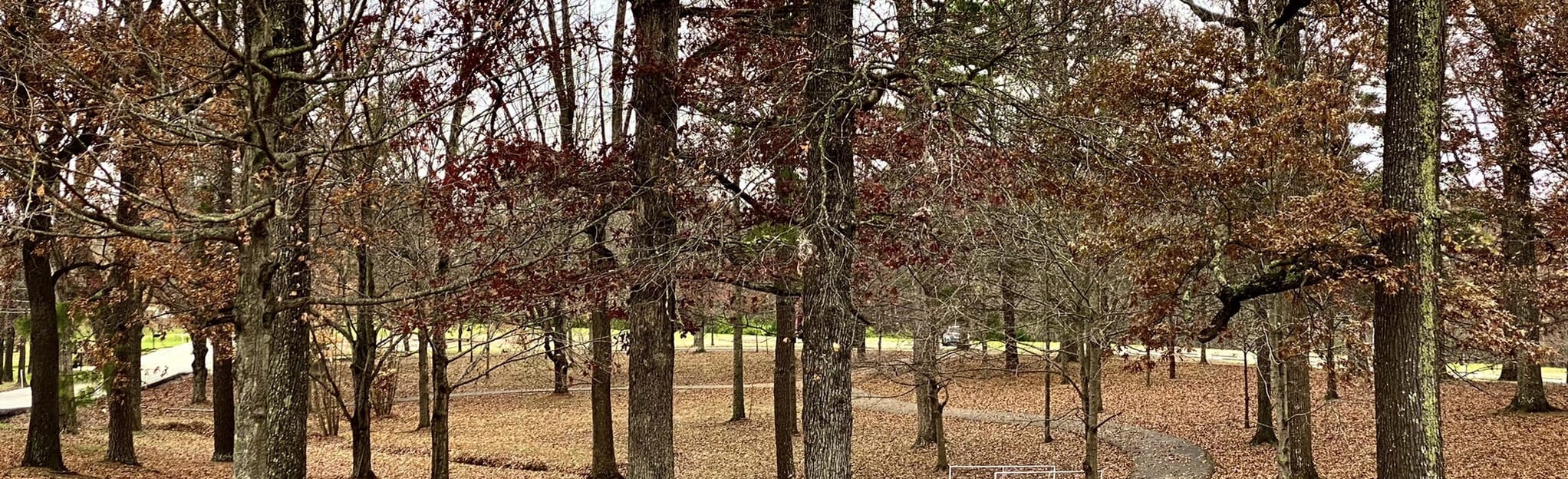 Ridgetop Station Park Loop 15 Reviews, Map Tennessee AllTrails