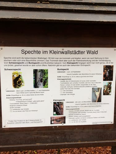 Kleinwallstadt 1 : Zwischen Templerhaus, altem Schloss und Almhütte