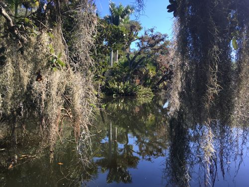 Best Hikes and Trails in Lee County Manatee Park | AllTrails