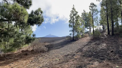 10 Best Hikes and Trails in Reserva Natural Especial del Chinyero