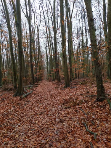 Waldrunde Seebad Rüdersdorf