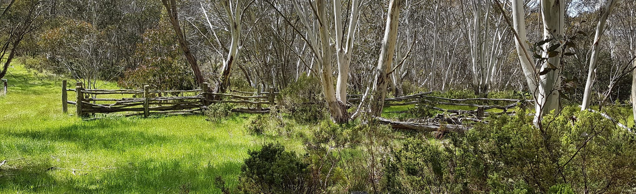 7 Peaks Ride: Dinner Plain, Victoria, Australia - Map, Guide | AllTrails