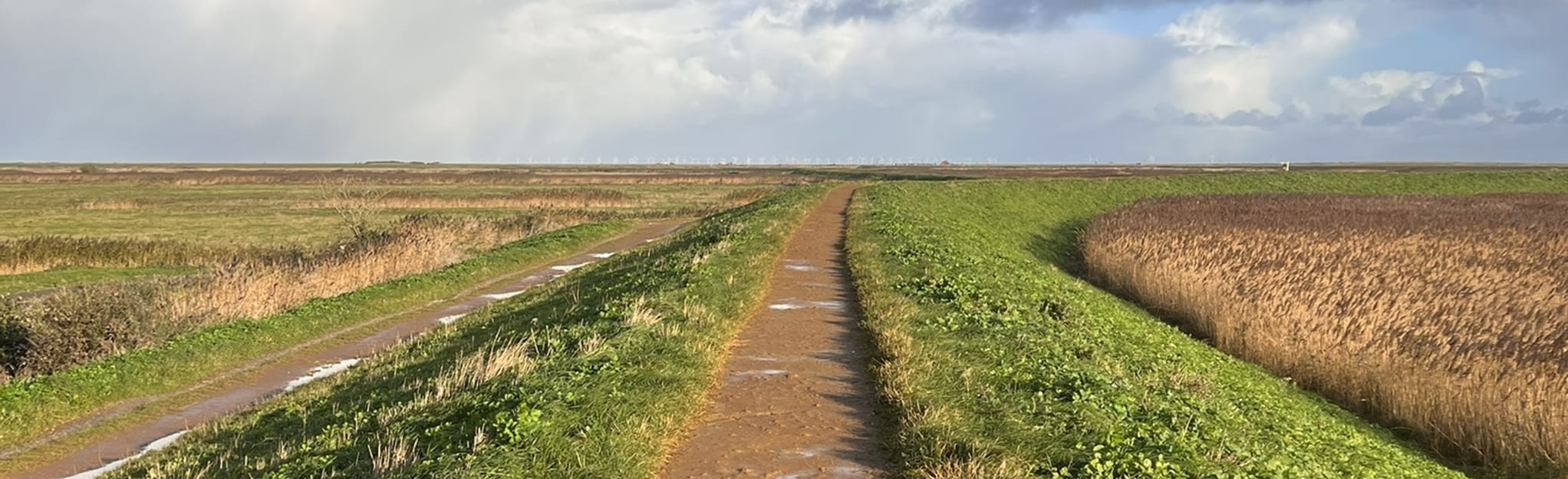 Blakeney Quay to Blakeney Point Walk: 19 Reviews, Map - Norfolk ...