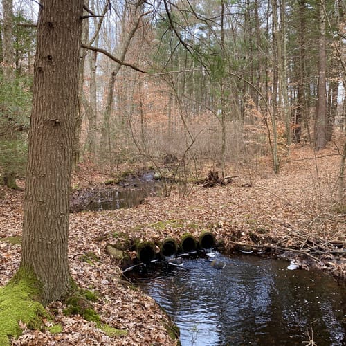 2023 Best 10 Trails and Hikes in Norwell AllTrails